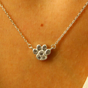 Conjunto Huella